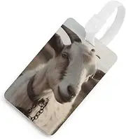 [TKJMCSW] Goat on Hillside Luggage Tags for Suitcases Travel Tags for Luggage Travel Bag Tags Luggage Identifiers Tags Baggage Name Tag Backpack Labels Carry Ons Tags for Men Women