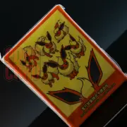 Pokemon S-Chinese Flareon Theme Card Sleeve Sealed from Eevee Gift