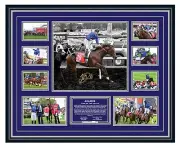 ANAMOE COX PLATE 2022 JAMES MCDONALD SIGNED LIMITED EDITION FRAMED MEMORABILIA