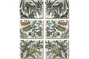 Cinnamon Retro Native Floral Placemat Set of 6