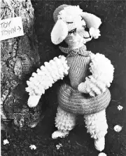 1950's CHIC POODLE - COPY toy knitting pattern