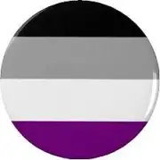 Asexual Queer Pin Badge / Button - LGBTQ Pride