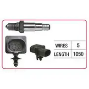RAE Oxygen Sensor - OX819
