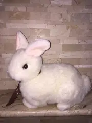 WHITE PLUSH BUNNY RABBIT