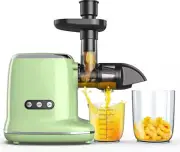 NEW Cold Press Juicer Masticating Machines for vegetable fruit Meat Ginder