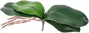 1 Piece Green Faux Orchid Leaves 8 InchOrchid Leaves Leaves Real Touch Phalaenopsis Stems Faux Cymbidium Flower Foliage Green Lifelike Orchid Leaf Decor for Home Flowers Pot Decor
