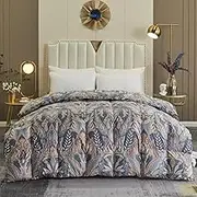 Goose Feather Down Comforter Queen Size - Printing Quilted Down Comforter - 800 Fill Power Ultra-Soft Fluffy Bed Comforters - All Season Warmth Duvet Insert with Corner Tabs,B-200X230CM