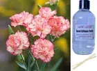 CARNATION - Reed Diffuser Refill