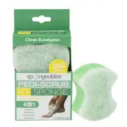 Citron Eucalyptus Bathing Sponge Exfoliating and Moisturizing Spa Experience