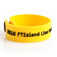 在飛比找蝦皮購物優惠-(C) 2010 FT FTI FTISLAND Live 