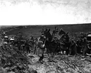 New 8x10 World War I Photo: Mules Hauling U.S. Ammunition Wagon Stuck in Road
