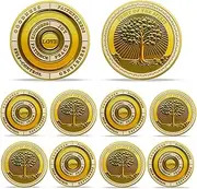 10pcs Fruit of The Spirit Christian Challenge Coin - Galatians 5:22-23 Jesus Religious Token - Art God Pocket Bible Verses Coins for Study - Good Luck Commemorative Gifts for Men Women Kids