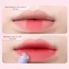Silicone Lip Brush With Cover Lip Brush Angled Concealer Brushes Lip Lipgloss!!