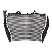 Motor Radiator Cooler Cooling Fit For BMW S1000R 2017-2021 S1000XR 2015-2019