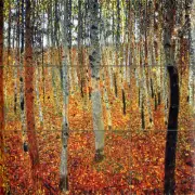 Accent Mural Ceramic Backsplash Klimt Forest Tile #662