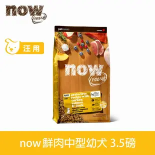 【SofyDOG】Now! 鮮肉無穀天然糧 幼犬/懷孕犬配方3.5磅 狗飼料 犬糧