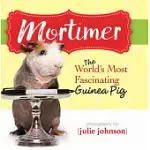 MORTIMER, THE WORLD’S MOST FASCINATING GUINEA PIG