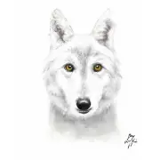 ✿ ORIGINAL Oil Portrait Painting WOLF HYBRID Silver Dog Artist Signed Artwork