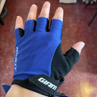 Giant gloves 夏季透氣健身半指通用騎行手套防震騎行手套