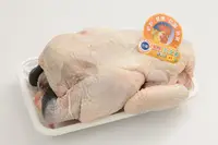 在飛比找Yahoo奇摩購物中心優惠-土雞(全雞)1.3kg