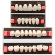 A2 Shade Dental Synthetic Acrylic Resin False Denture U/L Fake Teeth Whitening