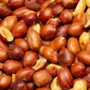 Roasted and Salted Red Skin Peanuts, Spanish Peanut (2 Pound)
