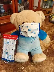 Plush Snowflake Teddy Bear With Mask