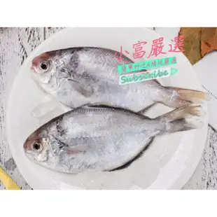 小富嚴選海鮮其他魚項-(肉魚)(肉鯧)(肉鯽魚)(肉好多活冷新鮮肉魚)(肉鯽魚)一件120尾上下