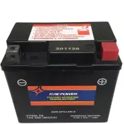 Eton Viper RX4-70, 2007+, ATV Maintenance Free Battery