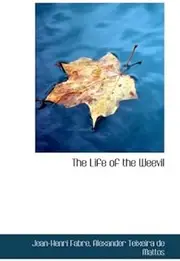 The Life of the Weevil