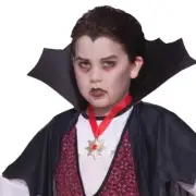 Boy's Halloween Vampire Cape, Medallion Costume Set, Size Medium 8