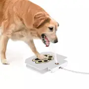 Dog Water Drinking Fountain Pet Dispenser Automatic Step & Spray Auto Paw Press