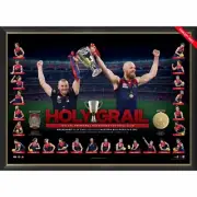 MELBOURNE DEMONS 2021 AFL PREMIERSHIP PREMIERS HOLY GRAIL FRAMED MEMORABILIA