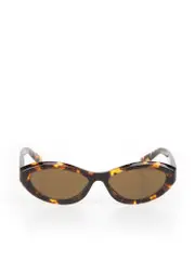 Brown Irregular Oval Tinted Sunglasses
