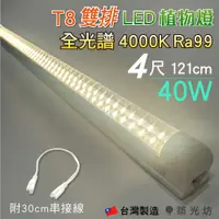 在飛比找蝦皮購物優惠-【築光坊】T8 雙排 4尺 40W 全光譜 植物生長燈 自然