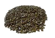 Bulk Cassia Tora Chakramard Chakvad Sickle Senna Seeds Foetid Cassia Tovara Seed