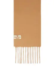 Weekend Max Mara Canossa Cashmere Scarf