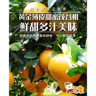 【果之家】台灣黃金薄皮爆汁25A特級茂谷柑(單顆150-200g)