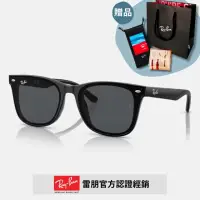 在飛比找momo購物網優惠-【RayBan 雷朋】膠框太陽眼鏡(RB4391D-6450