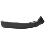 Bumper Face Bar Trim Molding Step Pad Front Driver Left Side for Ram Truck