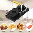 Mouse Traps Rat Mice Killer Snap Trap Power Rodent Heavy Duty Set of 10 Trap