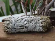 Californian White Sage & Rosemary Smudge Stick 130mm Smudging Burning Rituals