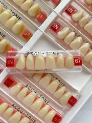 Acrylic Resin False Teeth Accu-tone Anterior Upper A3/67-1N dentures box 120pcs