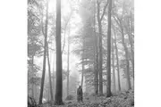Taylor Swift Folklore (In The Trees Edition) - Double Vinyl Album