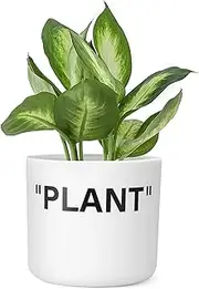[TwoDays] Off-White Inspired Sneaker Planter, Hypebeast Room Decor, Small 5 Inch Cylinder White Plastic Indoor Plant Pot with Built in Drainage Hole, Mini Flower Pot, Sneakerhead Gift.