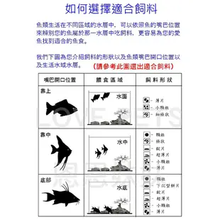 台灣製造 錦鯉飼料 魚飼料 1kg罐裝 錦鯉飼料 錦鯉 龍鯉 鯉魚飼料  餵魚公園 池塘 魚菜共生 觀賞魚