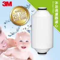 在飛比找環球Online優惠-【3M】沐浴過濾器替換濾心