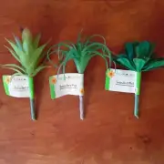 Artificial Succulent Picks, 3 Assorted Picks