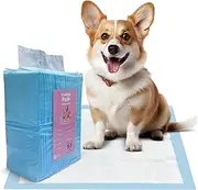 Premium Puppy Pee Pads - 23.6"x23.6" (40 Count) - Leak-Proof & Quick-Dry Design for Dogs and Puppies - Dog Pee Pads for Potty Training
