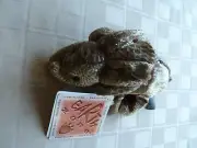 TRIGGOR Triceratops Dinosaur NEW w TAGS Bean Bag Plush by RUSS ZONIES EARTH ZONE